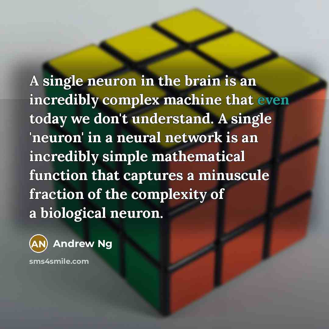 “A single neuron in the brain is an incredibly complex machine that even today we don't understand. A single 'neuron' in a neural network is an incredibly simple mathematical function that captures a minuscule fraction of the complexity of a biological neuron.” quote by Andrew Ng