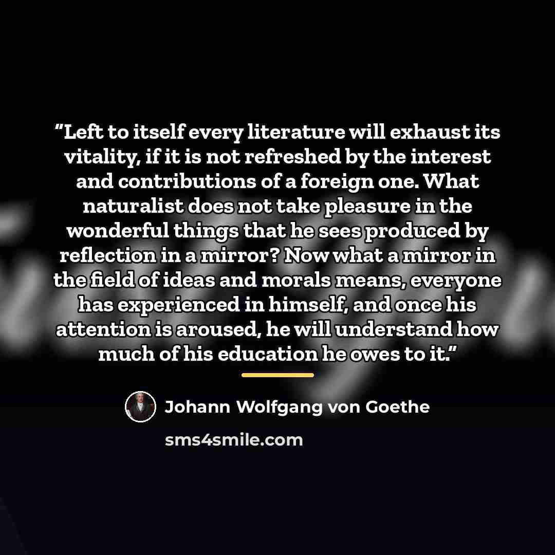 “Left to itself every literature will exhaust its vitality, if it is not refreshed by the interest and contributions of a foreign one. What naturalist does not take pleasure in the wonderful things that he sees produced by reflection in a mirror? Now what a mirror in the field of ideas and morals…” quote by Johann Wolfgang von Goethe