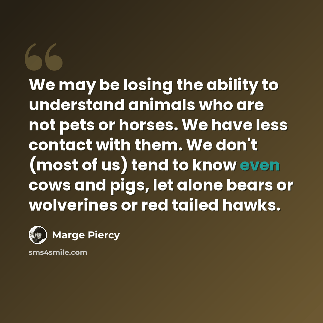 “We may be losing the ability to understand animals who are not pets or horses. We have less contact with them. We don't (most of us) tend to know even cows and pigs, let alone bears or wolverines or red tailed hawks.” quote by Marge Piercy