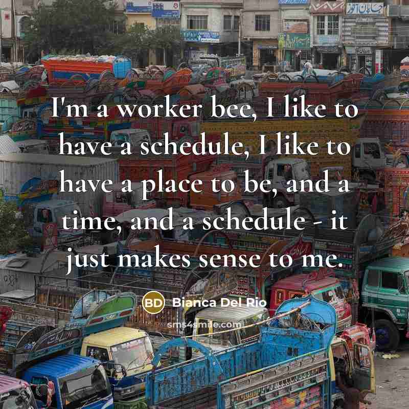 “I'm a worker bee, I like to have a schedule, I like to have a place to be, and a time, and a schedule - it just makes sense to me.” quote by Bianca Del Rio