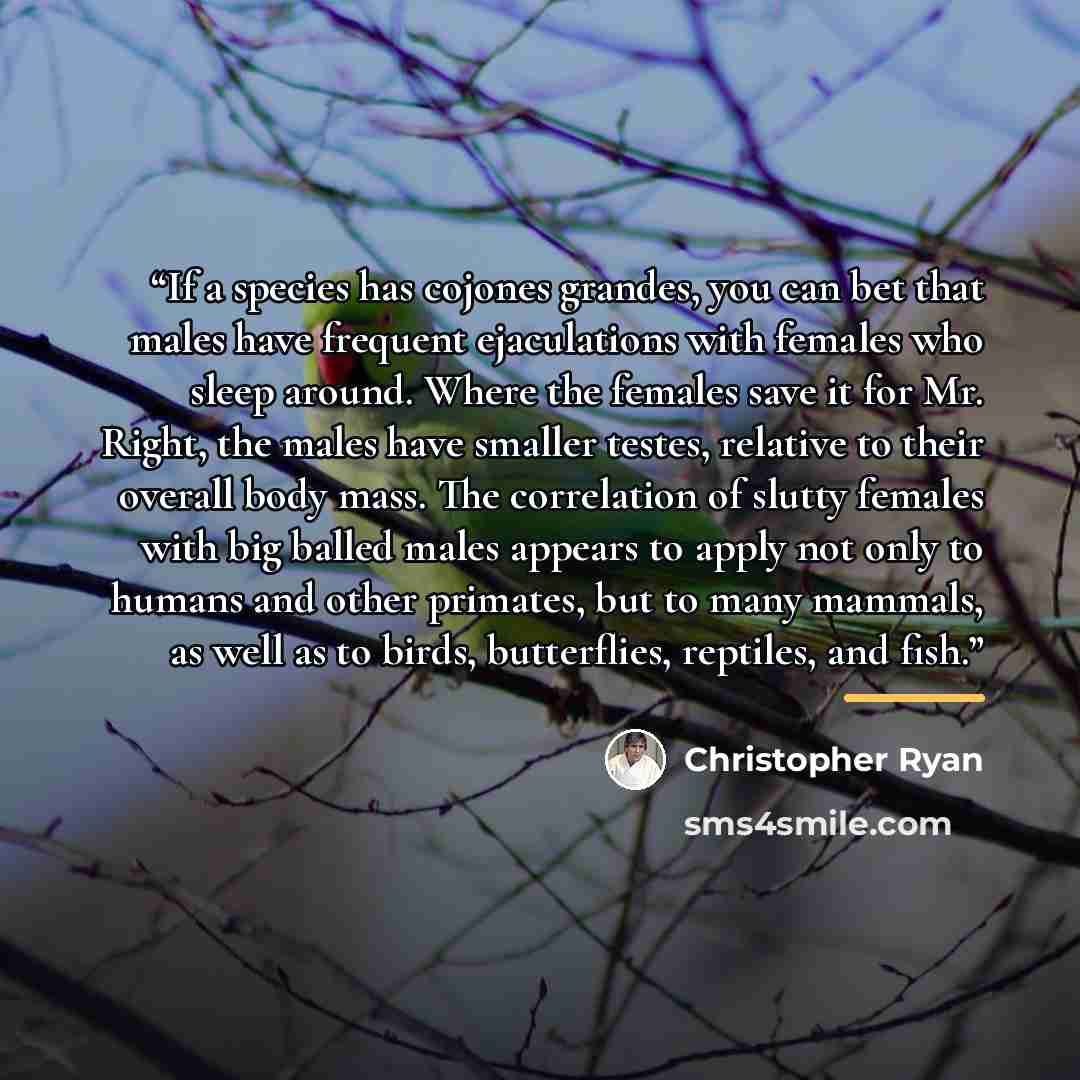 “If a species has cojones grandes, you can bet that males have frequent ejaculations with females who sleep around. Where the females save it for Mr. Right, the males have smaller testes, relative to their overall body mass. The correlation of slutty females with big balled males appears to apply…” quote by Christopher Ryan