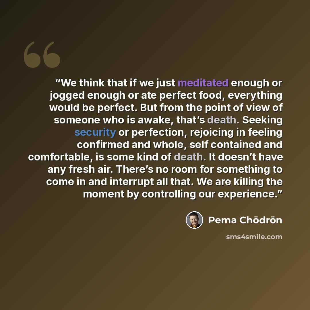 “We think that if we just meditated enough or jogged enough or ate perfect food, everything would be perfect. But from the point of view of someone who is awake, that’s death. Seeking security or perfection, rejoicing in feeling confirmed and whole, self contained and comfortable, is some kind of…” quote by Pema Chödrön
