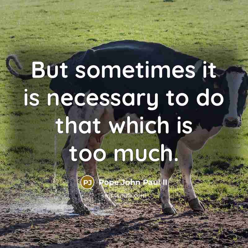 “But sometimes it is necessary to do that which is too much.” quote by Pope John Paul II