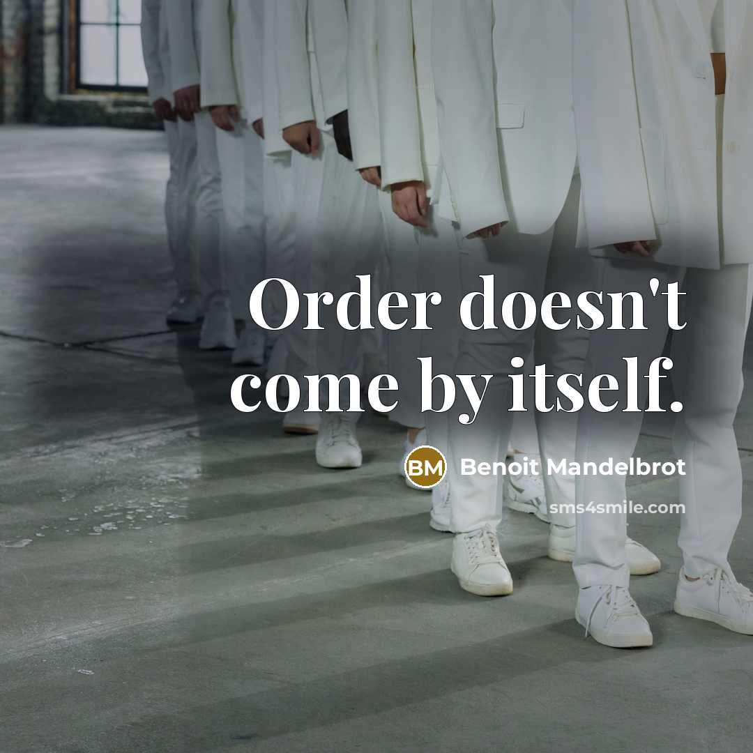 “Order doesn't come by itself.” quote by Benoit Mandelbrot