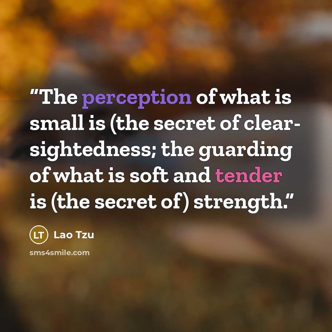 “The perception of what is small is (the secret of clear- sightedness; the guarding of what is soft and tender is (the secret of) strength.” quote by Lao Tzu