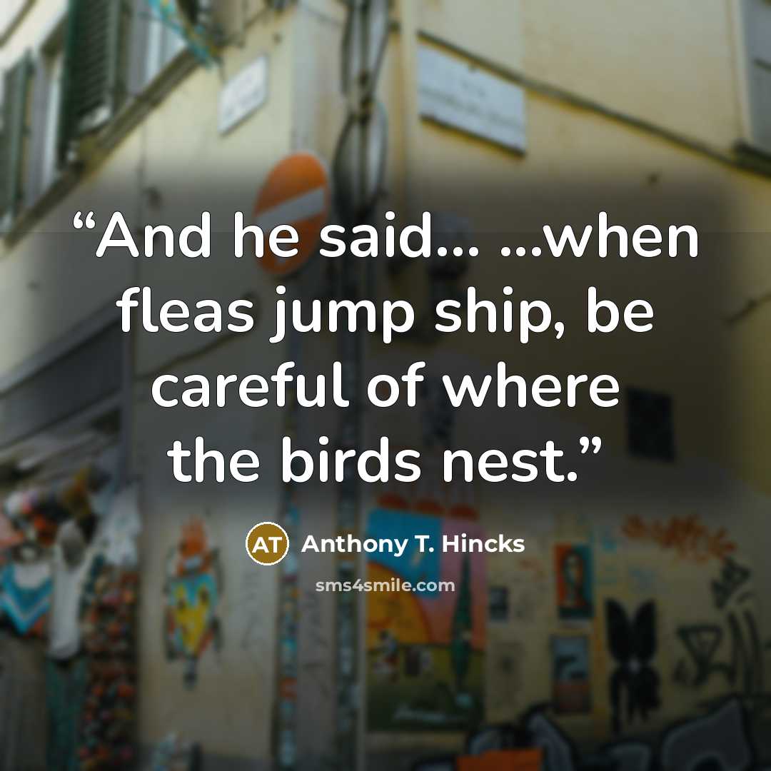 “And he said... ...when fleas jump ship, be careful of where the birds nest.” quote by Anthony T. Hincks