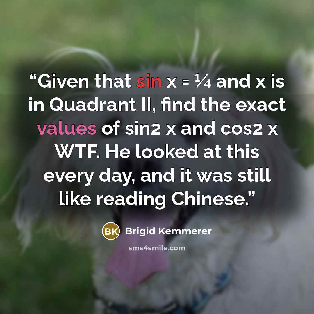 “Given that sin x = 1⁄4 and x is in Quadrant II, find the exact values of sin2 x and cos2 x WTF. He looked at this every day, and it was still like reading Chinese.” quote by Brigid Kemmerer
