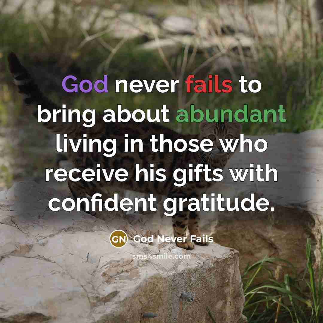 “God never fails to bring about abundant living in those who receive his gifts with confident gratitude.” quote by God Never Fails