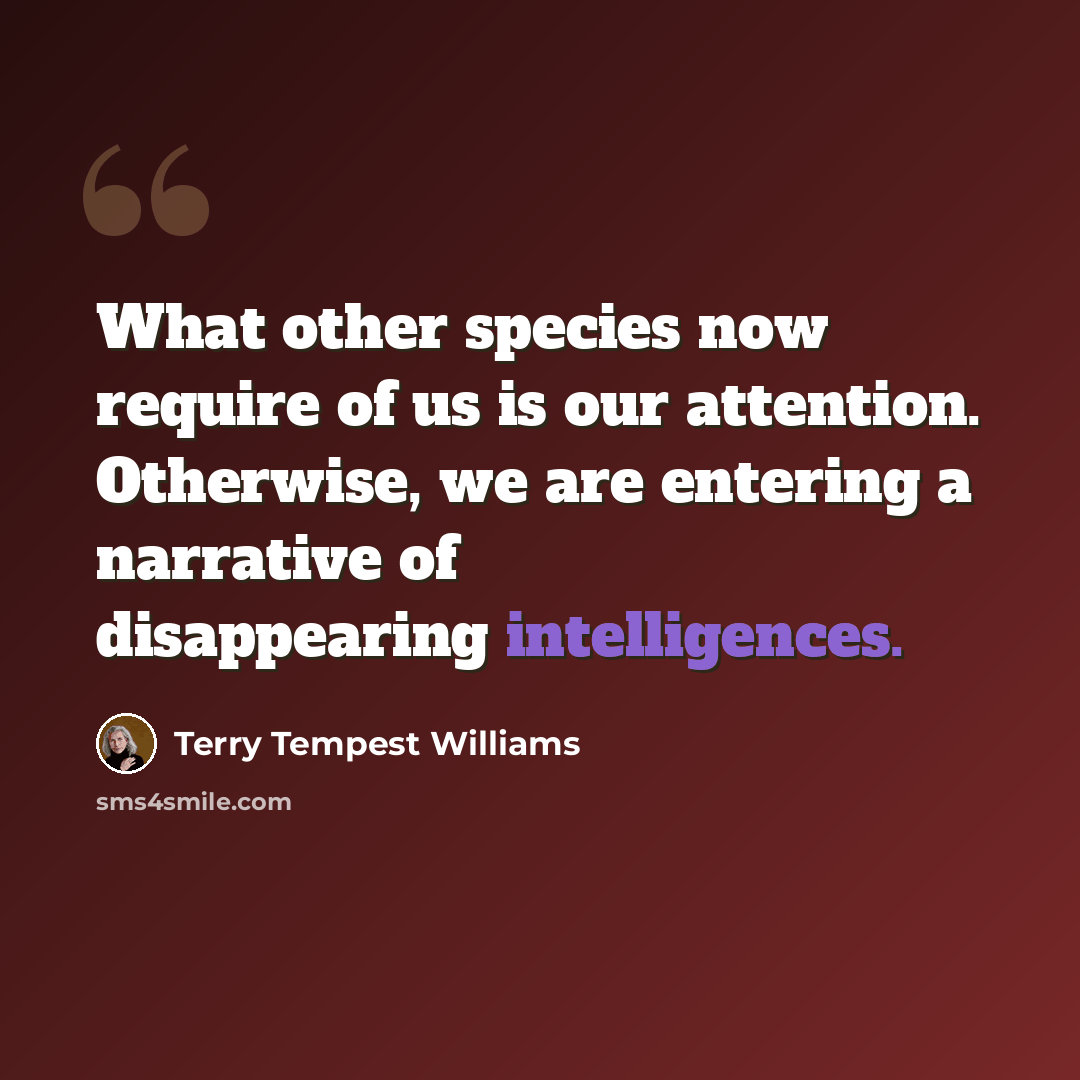 “What other species now require of us is our attention. Otherwise, we are entering a narrative of disappearing intelligences.” quote by Terry Tempest Williams