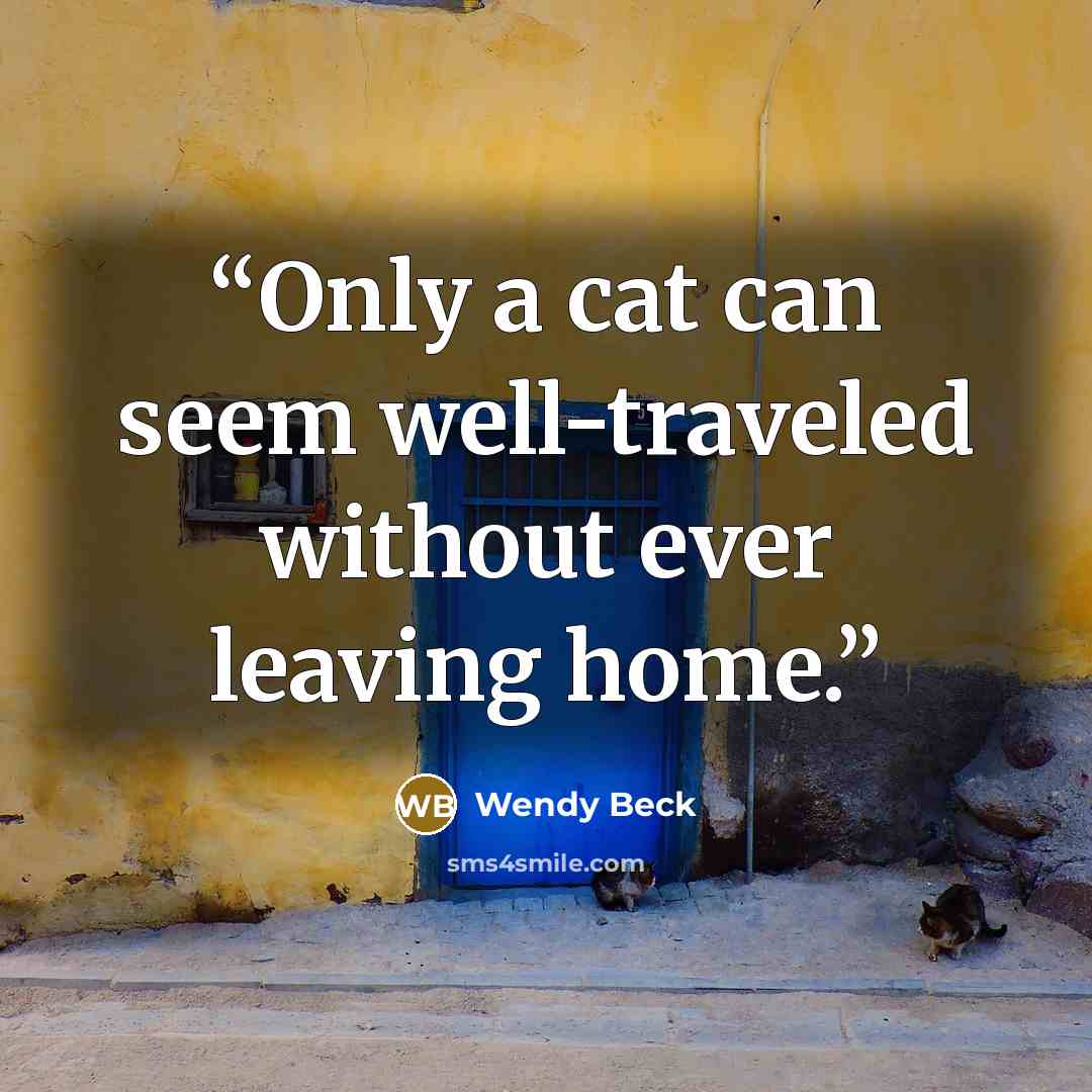 “Only a cat can seem well-traveled without ever leaving home.” quote by Wendy Beck