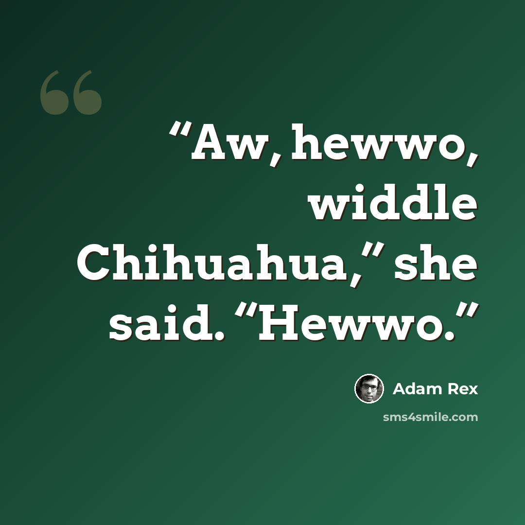“Aw, hewwo, widdle Chihuahua,” she said. “Hewwo.” quote by Adam Rex