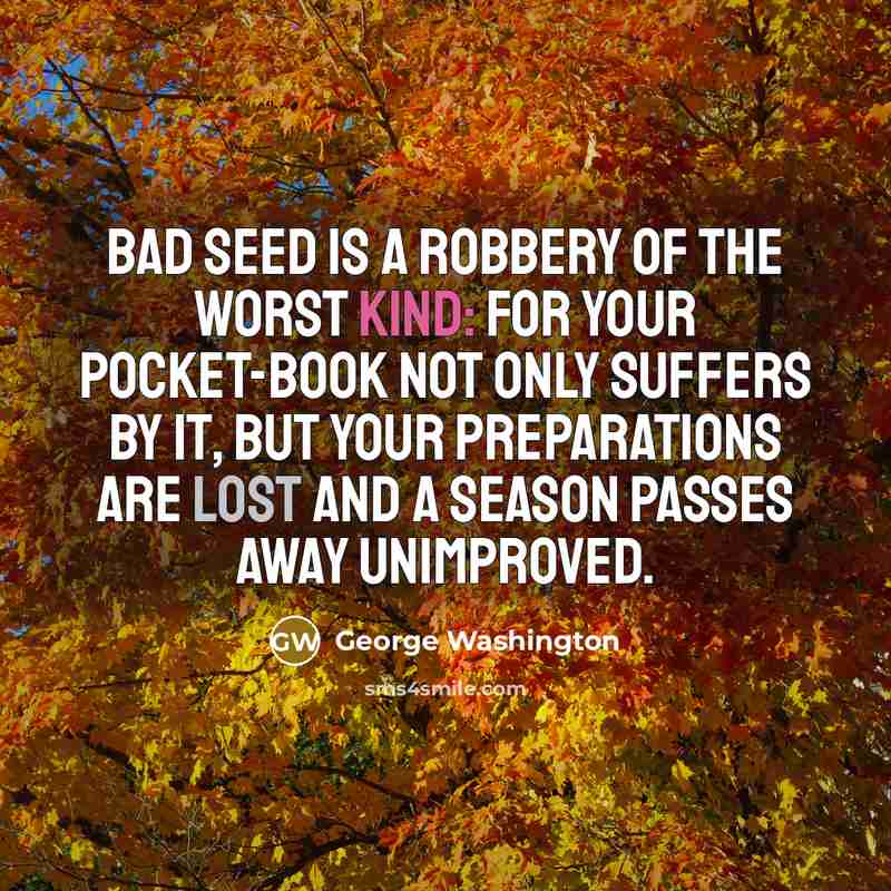 “Bad seed is a robbery of the worst kind: for your pocket-book not only suffers by it, but your preparations are lost and a season passes away unimproved.” quote by George Washington