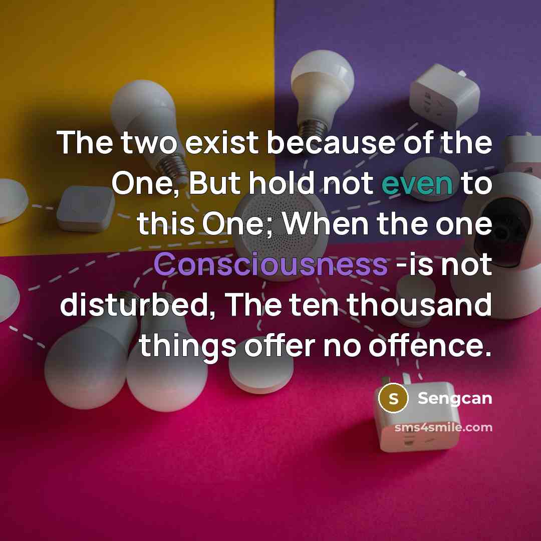 “The two exist because of the One, But hold not even to this One; When the one Consciousness -is not disturbed, The ten thousand things offer no offence.” quote by Sengcan