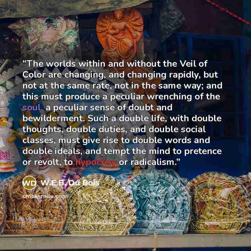 “The worlds within and without the Veil of Color are changing, and changing rapidly, but not at the same rate, not in the same way; and this must produce a peculiar wrenching of the soul, a peculiar sense of doubt and bewilderment. Such a double life, with double thoughts, double duties, and double…” quote by W.E.B. Du Bois