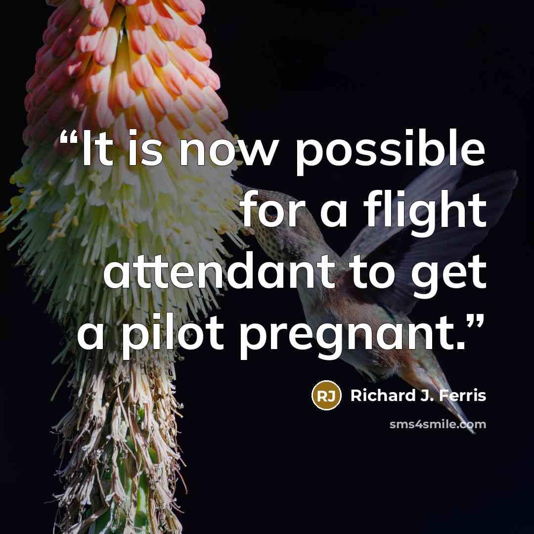 “It is now possible for a flight attendant to get a pilot pregnant.” quote by Richard J. Ferris
