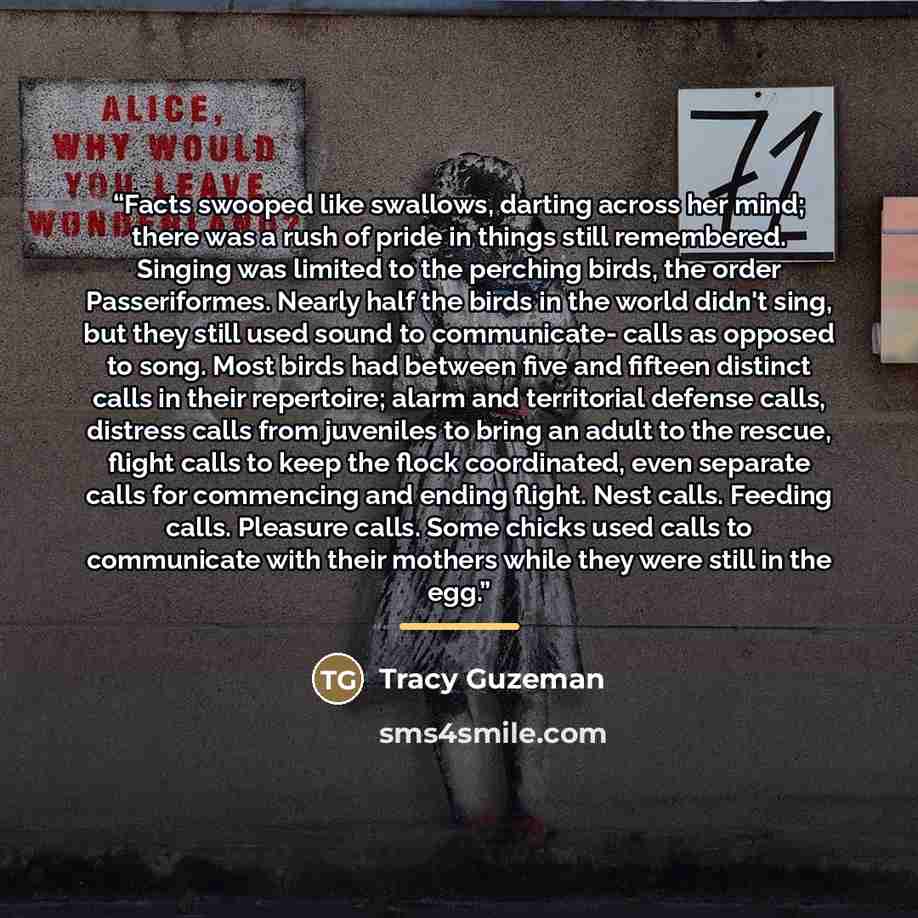 “Facts swooped like swallows, darting across her mind; there was a rush of pride in things still remembered. Singing was limited to the perching birds, the order Passeriformes. Nearly half the birds in the world didn't sing, but they still used sound to communicate- calls as opposed to song. Most…” quote by Tracy Guzeman