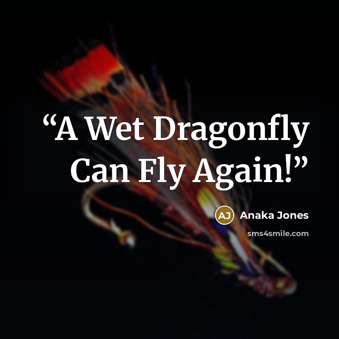 “A Wet Dragonfly Can Fly Again!” quote by Anaka Jones
