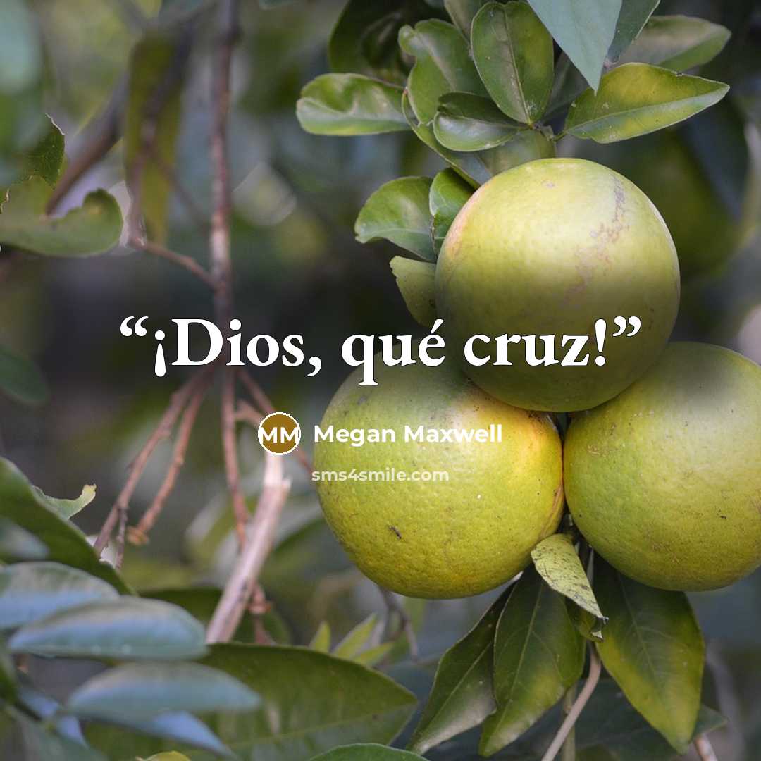 “¡Dios, qué cruz!” quote by Megan Maxwell
