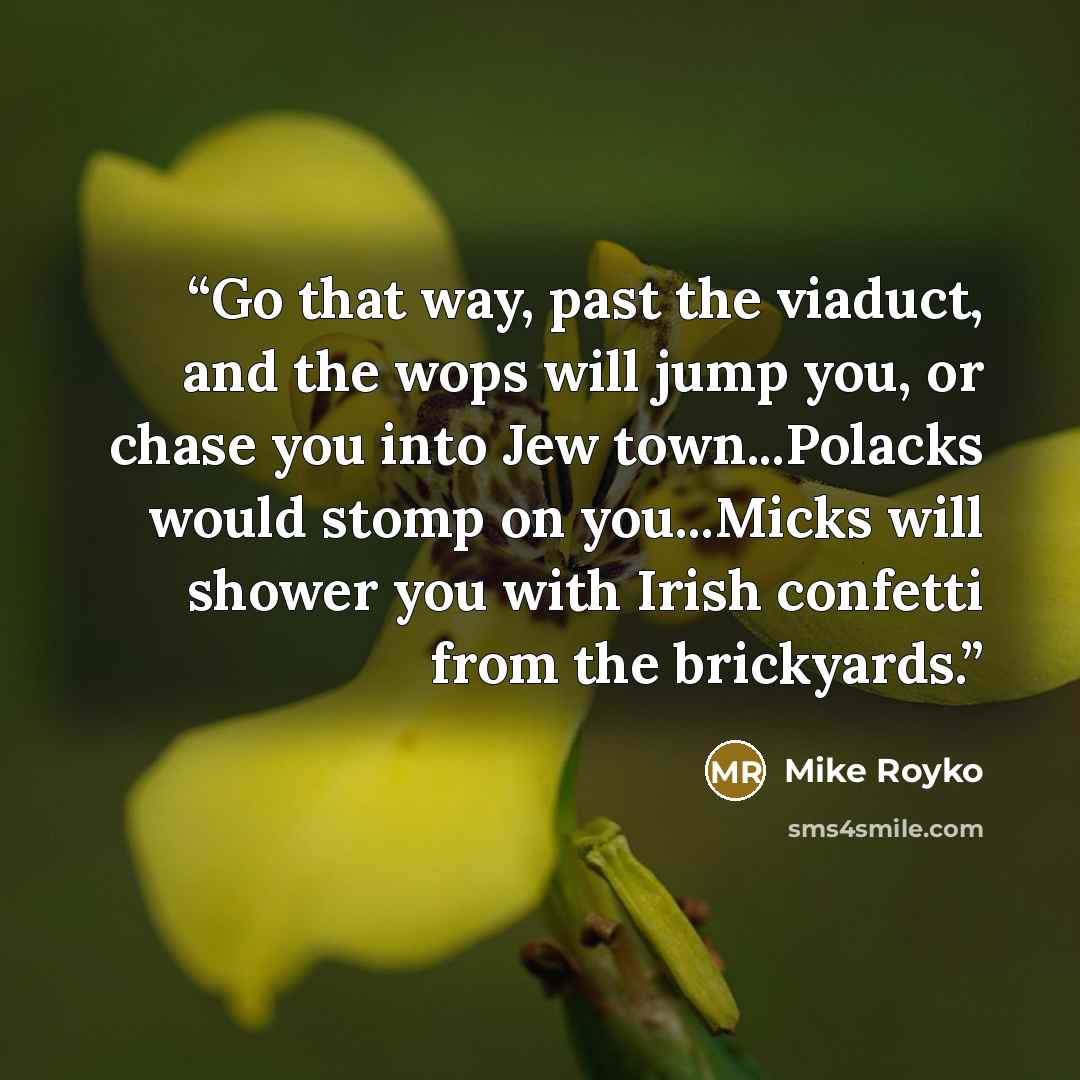 “Go that way, past the viaduct, and the wops will jump you, or chase you into Jew town...Polacks would stomp on you...Micks will shower you with Irish confetti from the brickyards.” quote by Mike Royko