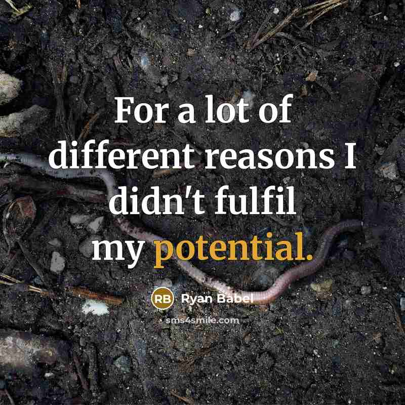 “For a lot of different reasons I didn't fulfil my potential.” quote by Ryan Babel