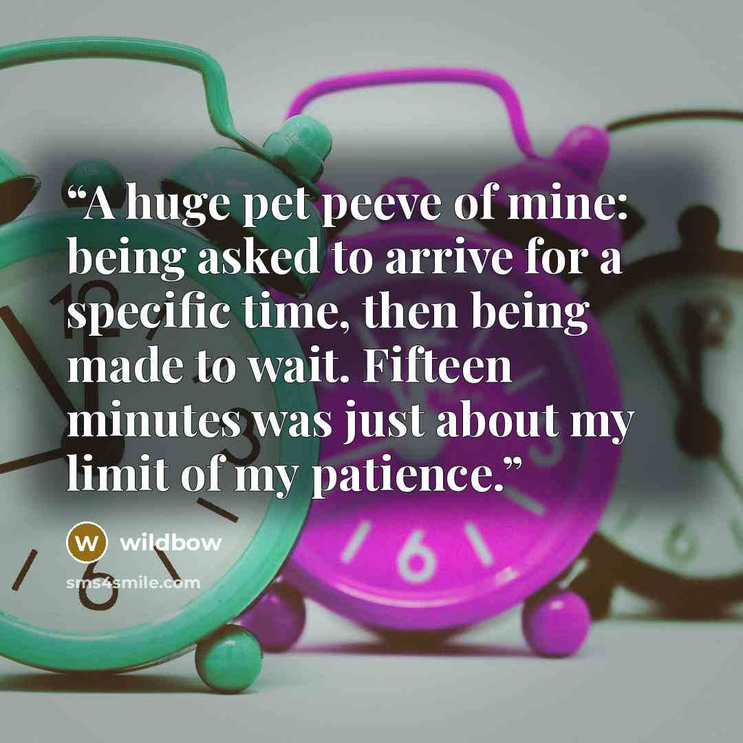 “A huge pet peeve of mine: being asked to arrive for a specific time, then being made to wait. Fifteen minutes was just about my limit of my patience.” quote by wildbow