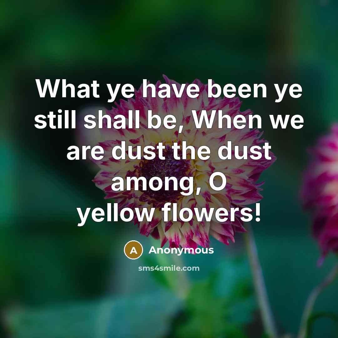 “What ye have been ye still shall be, When we are dust the dust among, O yellow flowers!” quote by Anonymous