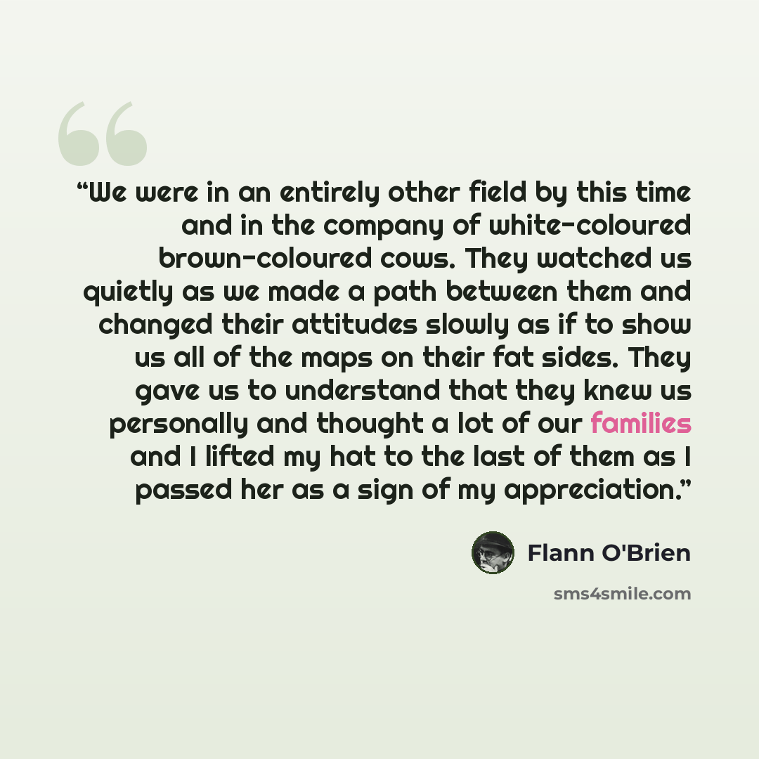 “We were in an entirely other field by this time and in the company of white-coloured brown-coloured cows. They watched us quietly as we made a path between them and changed their attitudes slowly as if to show us all of the maps on their fat sides. They gave us to understand that they knew us…” quote by Flann O'Brien