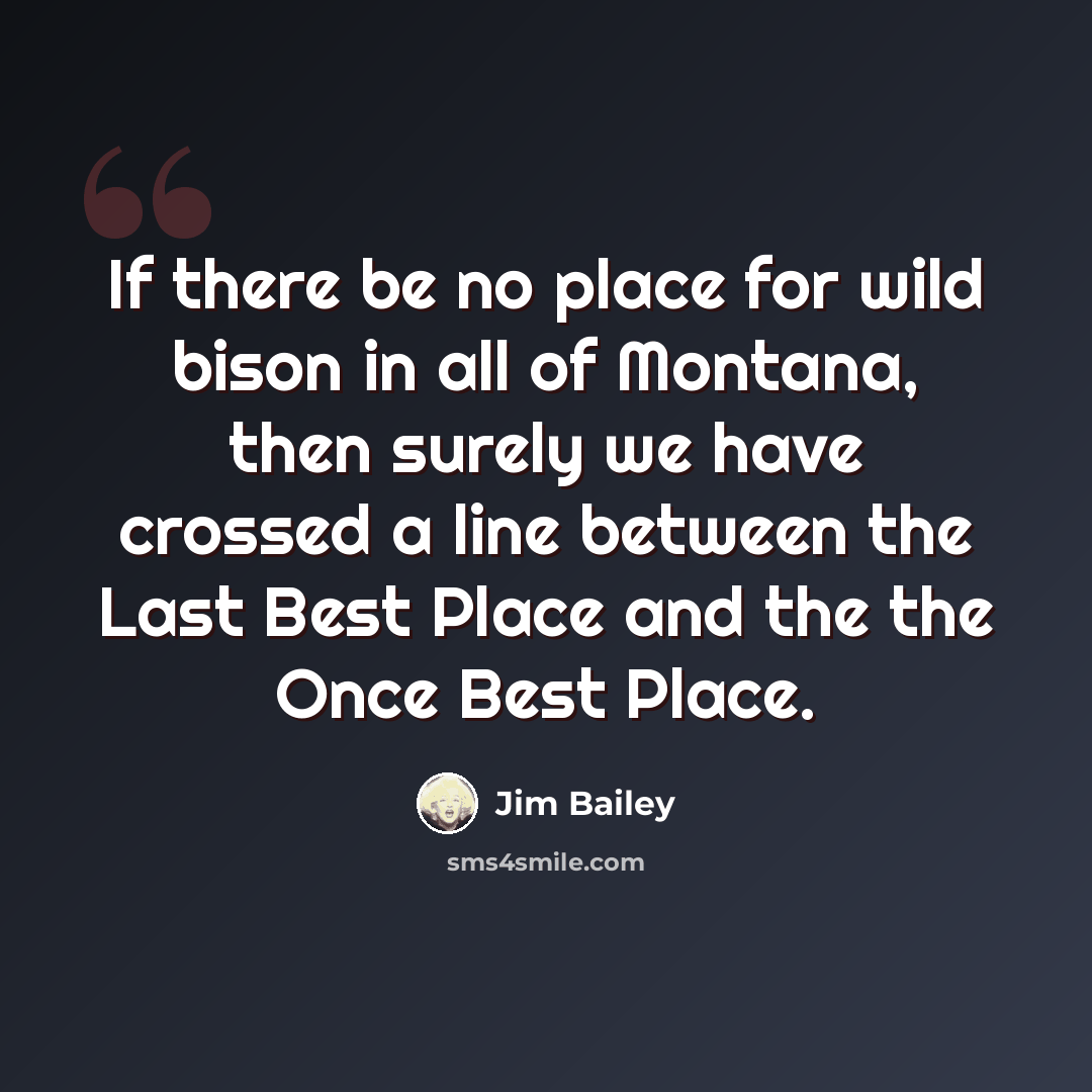 “If there be no place for wild bison in all of Montana, then surely we have crossed a line between the Last Best Place and the the Once Best Place.” quote by Jim Bailey
