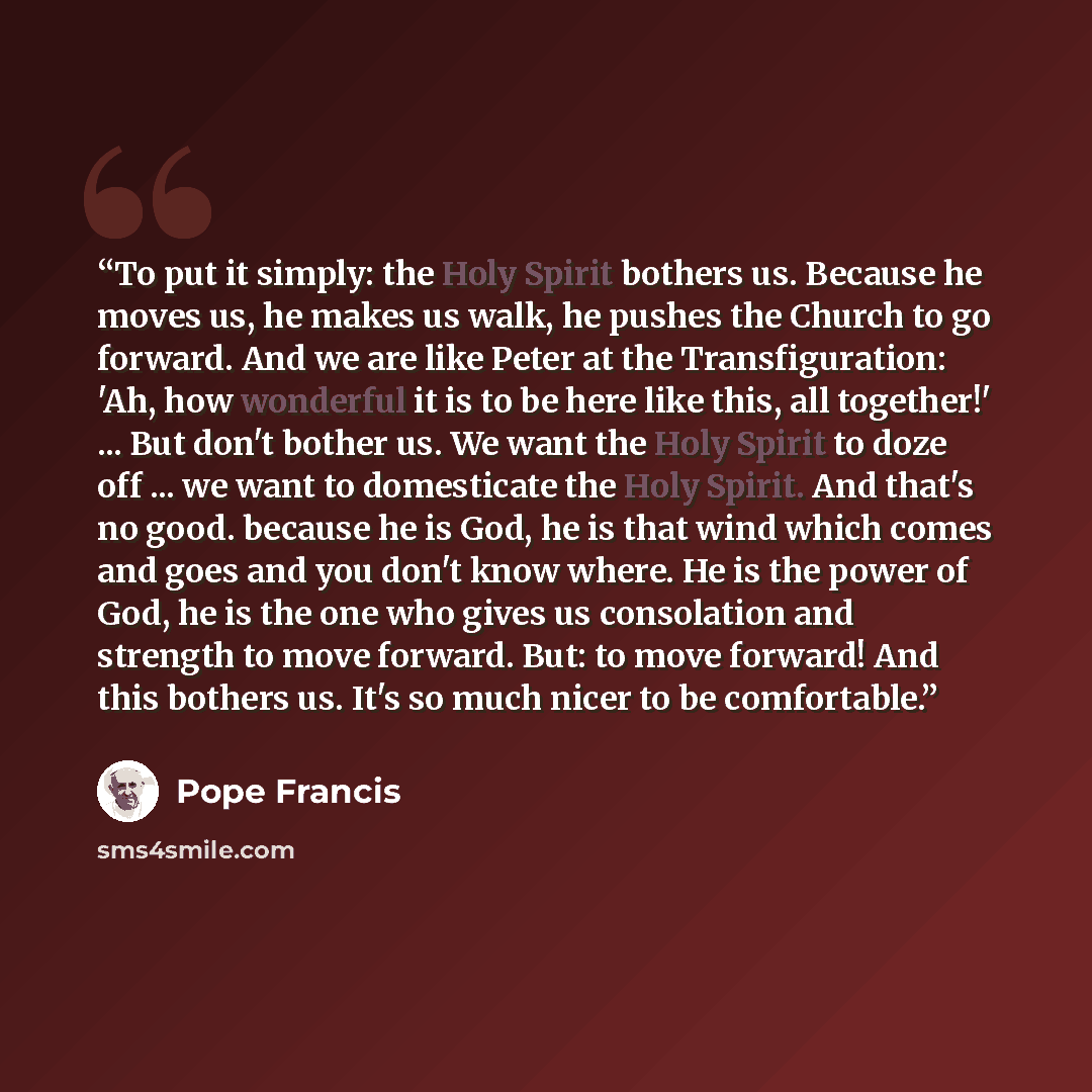 “To put it simply: the Holy Spirit bothers us. Because he moves us, he makes us walk, he pushes the Church to go forward. And we are like Peter at the Transfiguration: 'Ah, how wonderful it is to be here like this, all together!' ... But don't bother us. We want the Holy Spirit to doze off ... we…” quote by Pope Francis