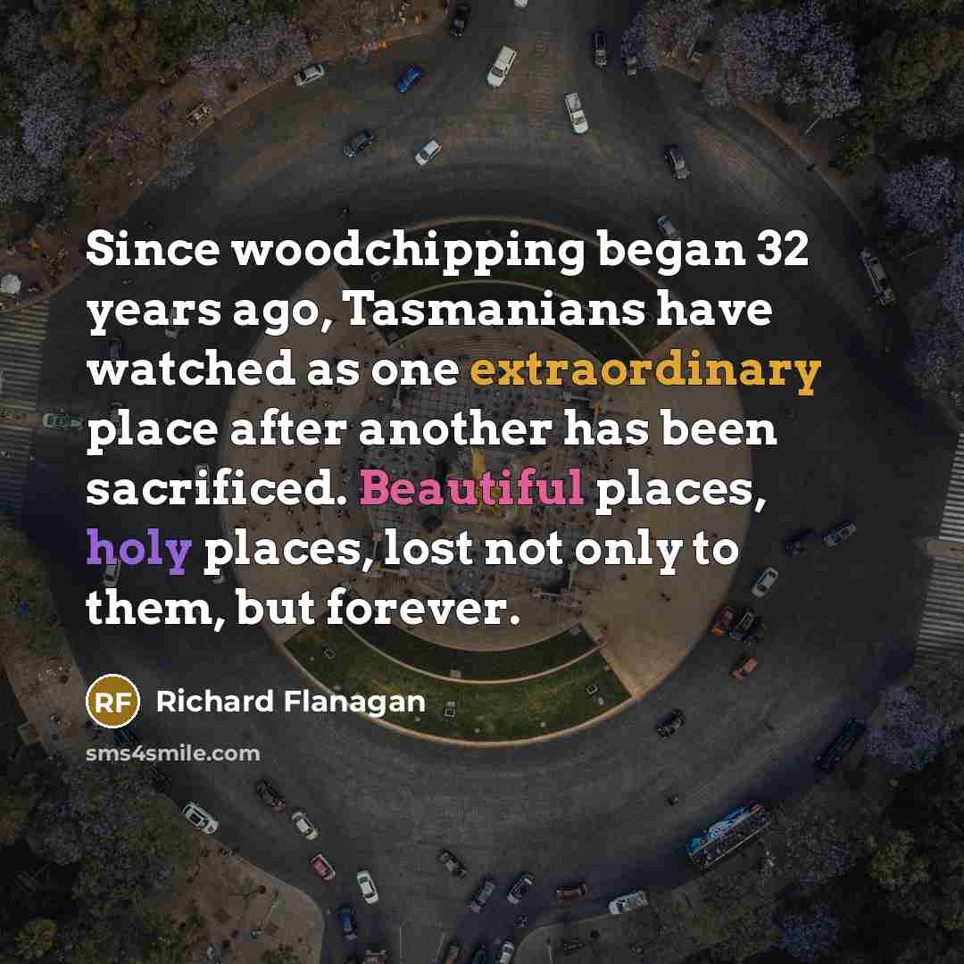 “Since woodchipping began 32 years ago, Tasmanians have watched as one extraordinary place after another has been sacrificed. Beautiful places, holy places, lost not only to them, but forever.” quote by Richard Flanagan