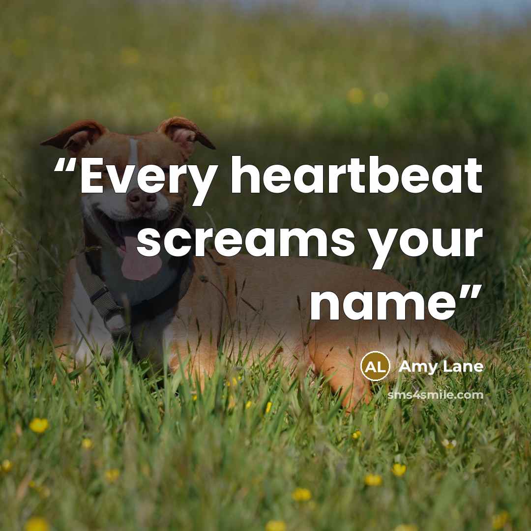 “Every heartbeat screams your name” quote by Amy Lane