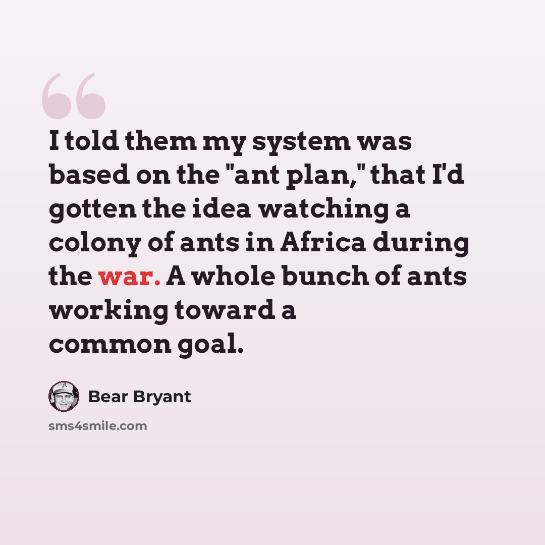 “I told them my system was based on the "ant plan," that I'd gotten the idea watching a colony of ants in Africa during the war. A whole bunch of ants working toward a common goal.” quote by Bear Bryant