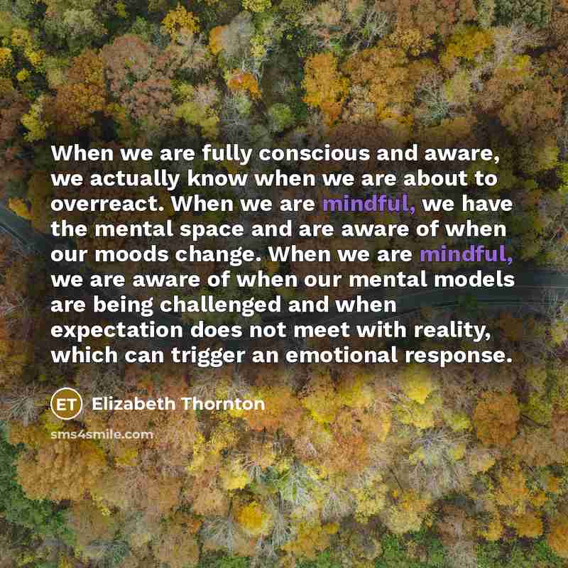 “When we are fully conscious and aware, we actually know when we are about to overreact. When we are mindful, we have the mental space and are aware of when our moods change. When we are mindful, we are aware of when our mental models are being challenged and when expectation does not meet with…” quote by Elizabeth Thornton