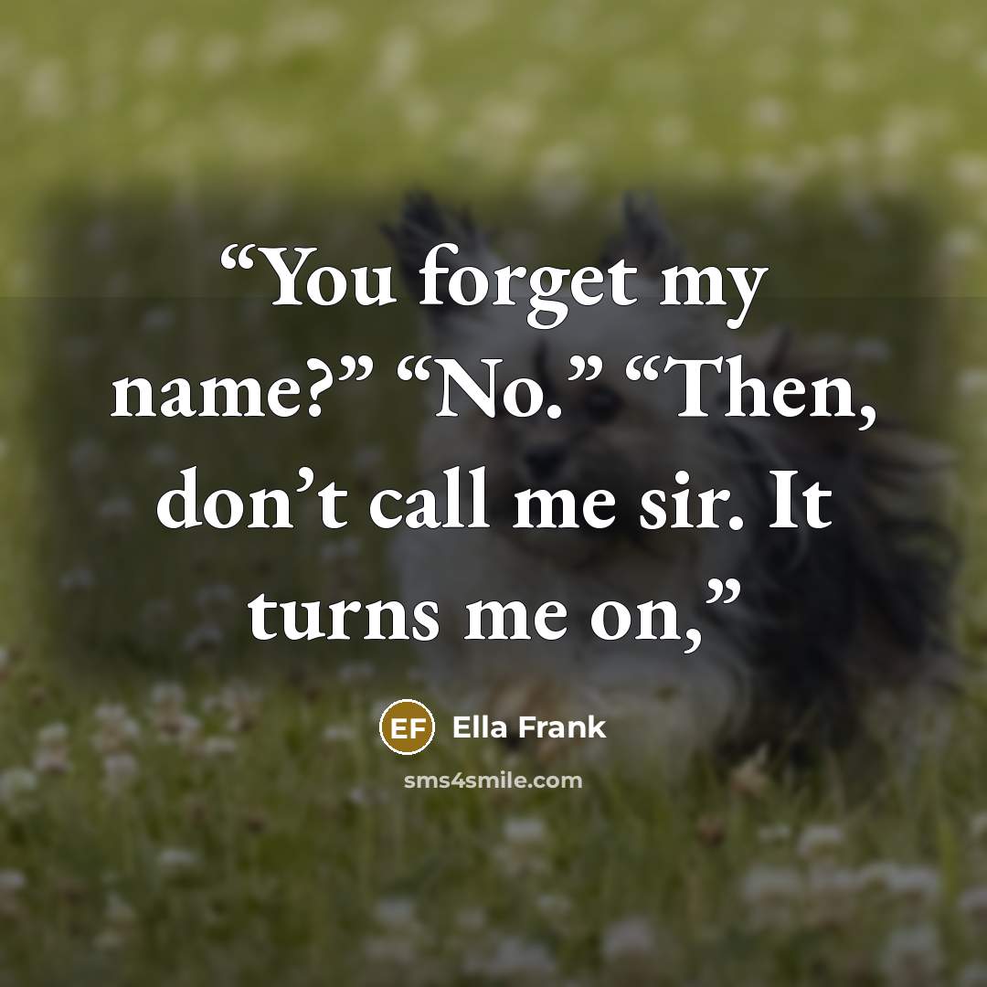 “You forget my name?” “No.” “Then, don’t call me sir. It turns me on,” quote by Ella Frank