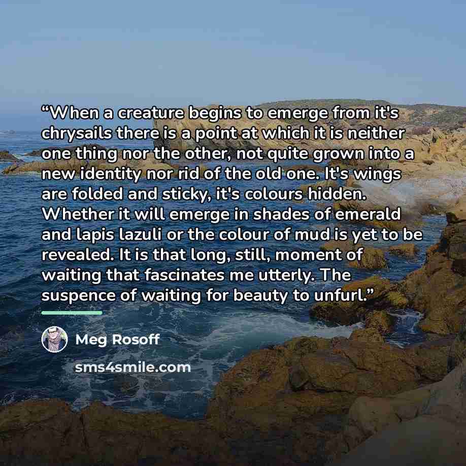 “When a creature begins to emerge from it's chrysails there is a point at which it is neither one thing nor the other, not quite grown into a new identity nor rid of the old one. It's wings are folded and sticky, it's colours hidden. Whether it will emerge in shades of emerald and lapis lazuli or…” quote by Meg Rosoff
