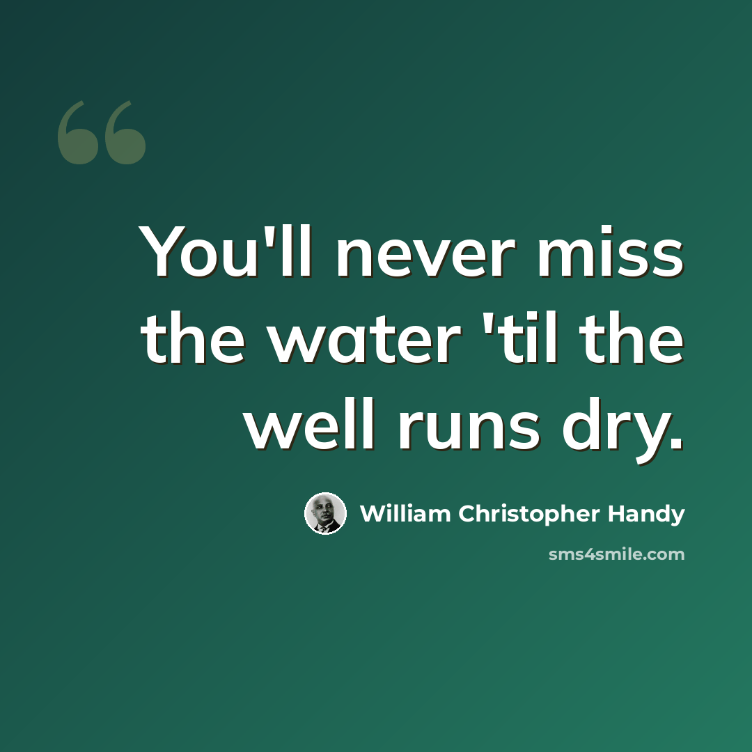 “You'll never miss the water 'til the well runs dry.” quote by William Christopher Handy