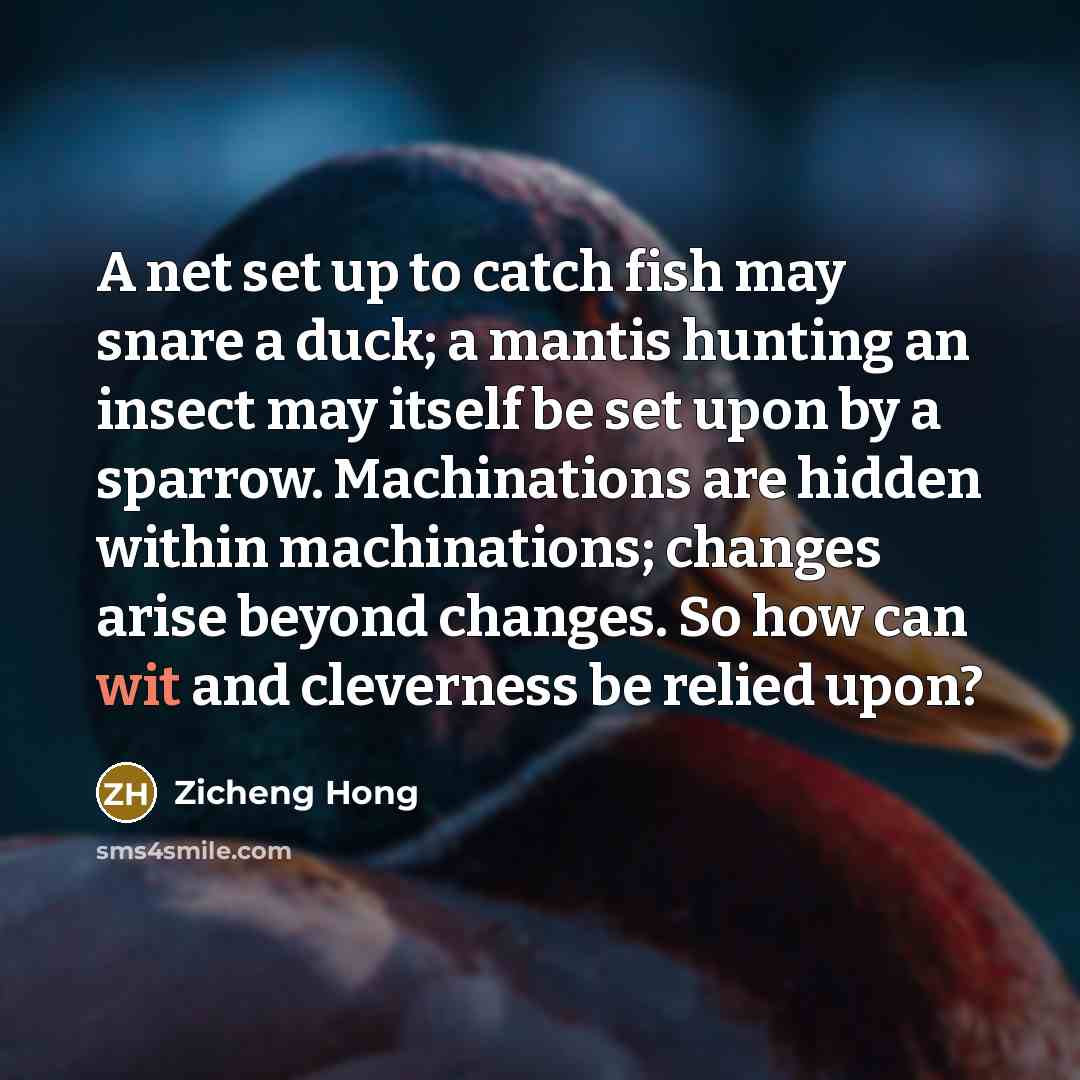 “A net set up to catch fish may snare a duck; a mantis hunting an insect may itself be set upon by a sparrow. Machinations are hidden within machinations; changes arise beyond changes. So how can wit and cleverness be relied upon?” quote by Zicheng Hong