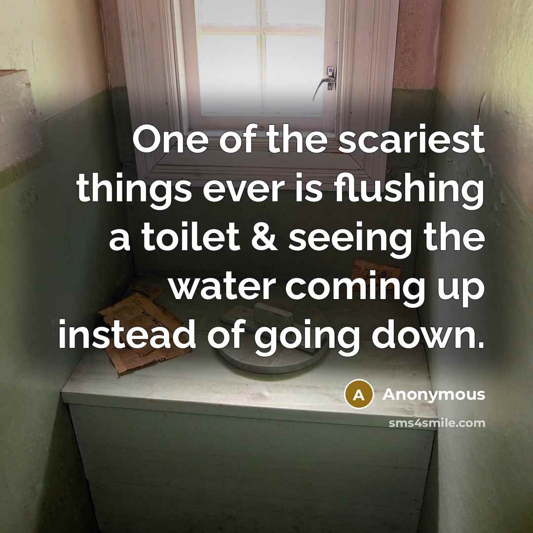“One of the scariest things ever is flushing a toilet & seeing the water coming up instead of going down.” quote by Anonymous