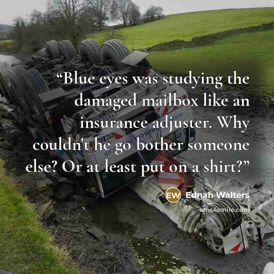 “Blue eyes was studying the damaged mailbox like an insurance adjuster. Why couldn't he go bother someone else? Or at least put on a shirt?” quote by Ednah Walters