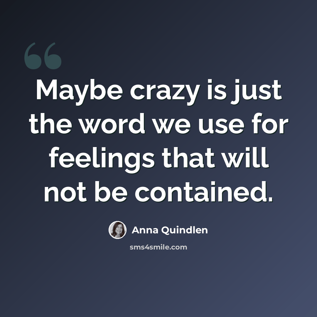 “Maybe crazy is just the word we use for feelings that will not be contained.” quote by Anna Quindlen