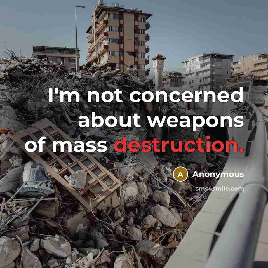 “I'm not concerned about weapons of mass destruction.” quote by Anonymous