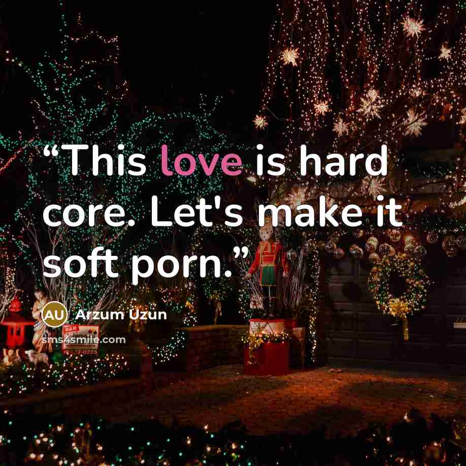 “This love is hard core. Let's make it soft porn.” quote by Arzum Uzun
