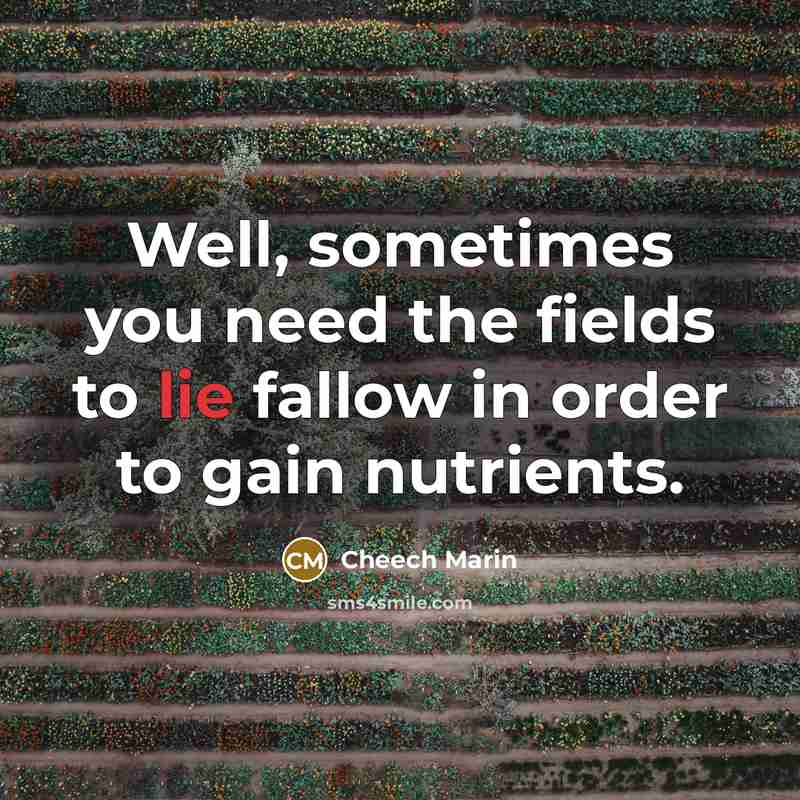 “Well, sometimes you need the fields to lie fallow in order to gain nutrients.” quote by Cheech Marin