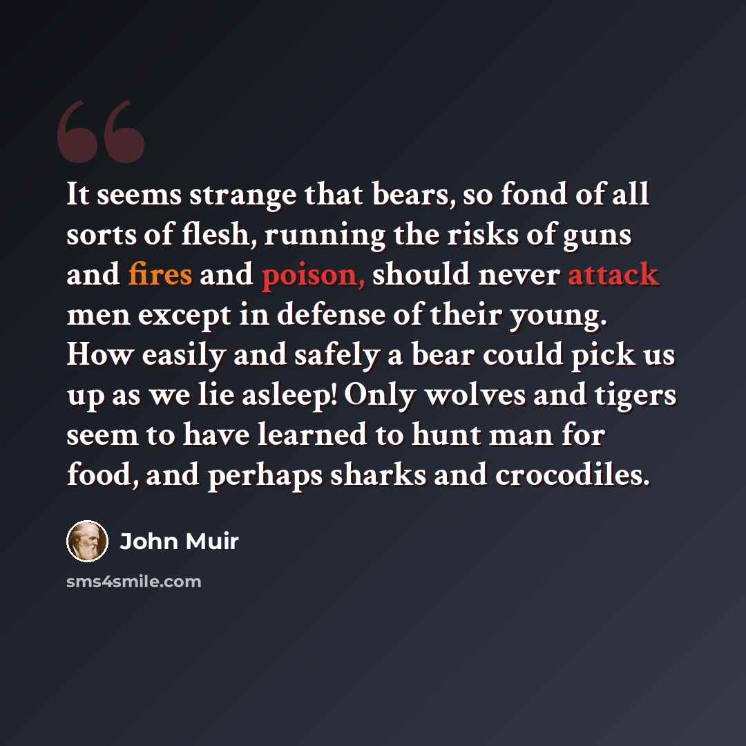 “It seems strange that bears, so fond of all sorts of flesh, running the risks of guns and fires and poison, should never attack men except in defense of their young. How easily and safely a bear could pick us up as we lie asleep! Only wolves and tigers seem to have learned to hunt man for food…” quote by John Muir