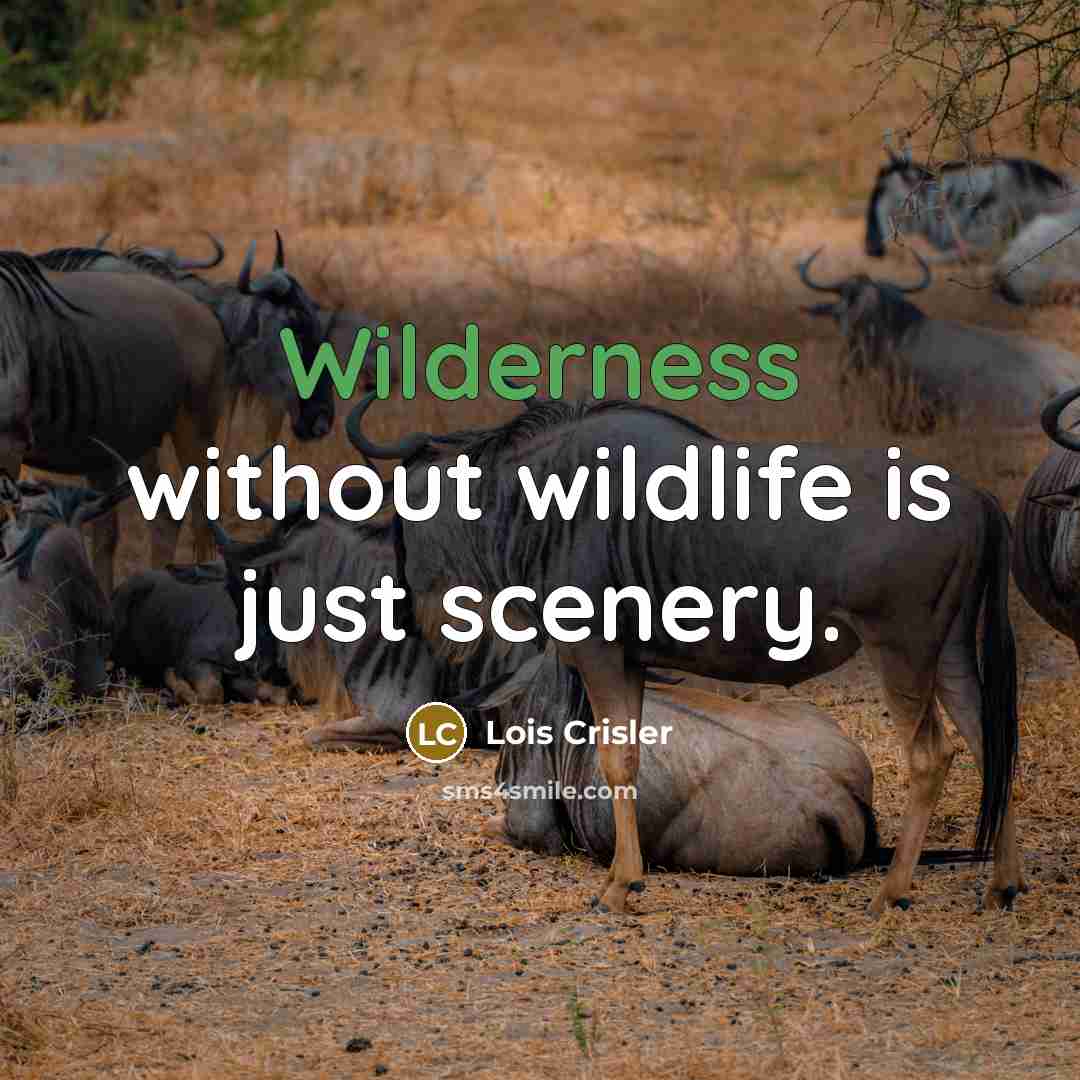 “Wilderness without wildlife is just scenery.” quote by Lois Crisler