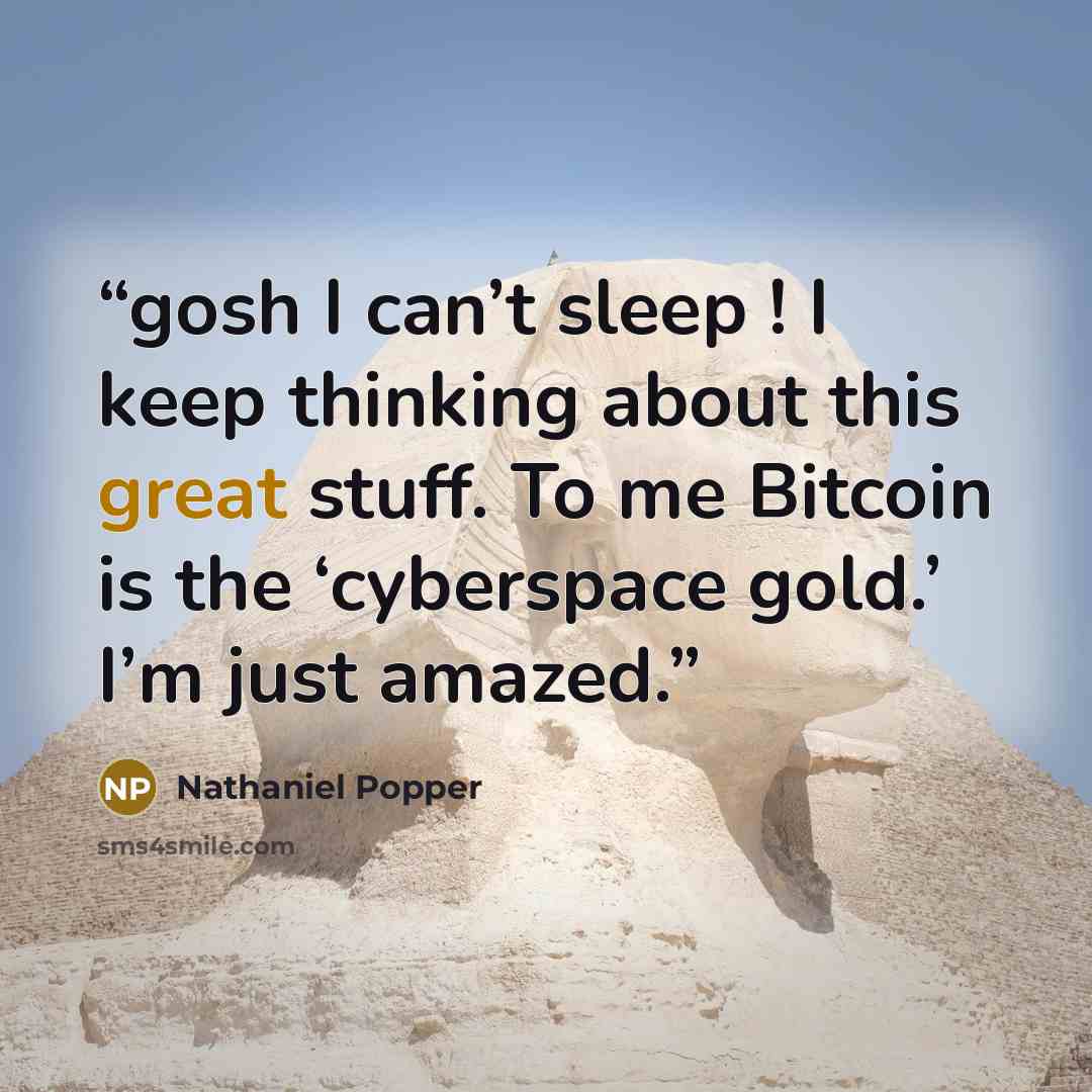 “gosh I can’t sleep ! I keep thinking about this great stuff. To me Bitcoin is the ‘cyberspace gold.’ I’m just amazed.” quote by Nathaniel Popper