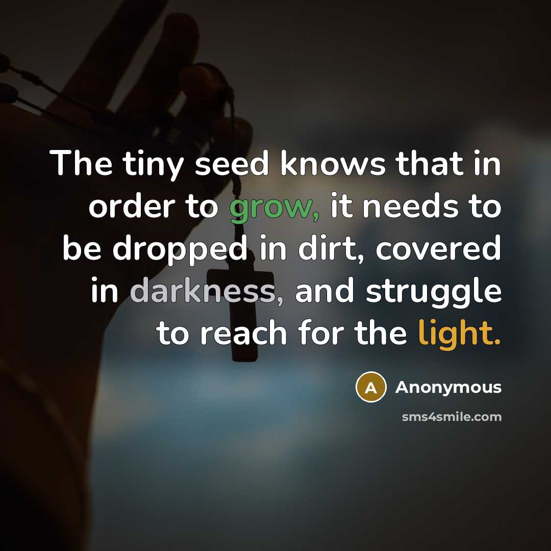 “The tiny seed knows that in order to grow, it needs to be dropped in dirt, covered in darkness, and struggle to reach for the light.” quote by Anonymous