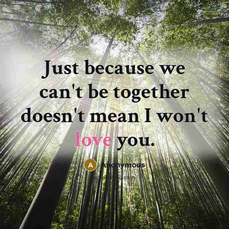 “Just because we can't be together doesn't mean I won't love you.” quote by Anonymous