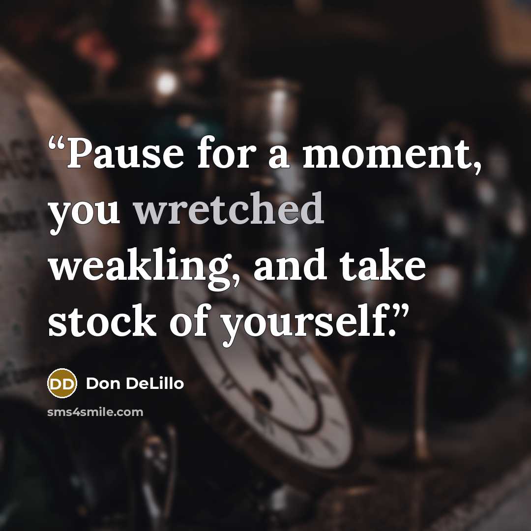 “Pause for a moment, you wretched weakling, and take stock of yourself.” quote by Don DeLillo