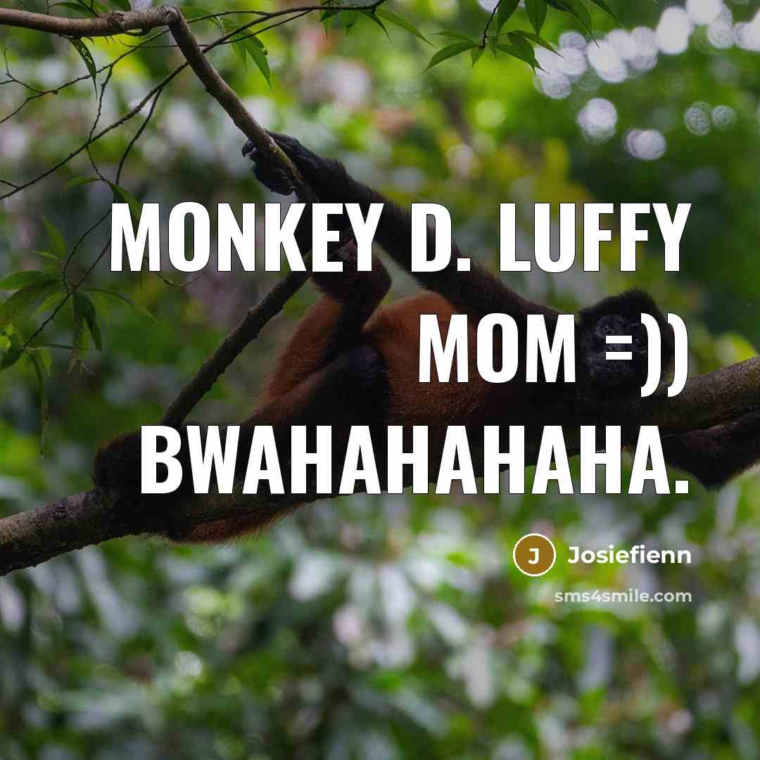 “Monkey D. Luffy mom =)) bwahahahaha.” quote by Josiefienn